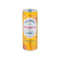 Billson's Vodka Passionfruit 355ml